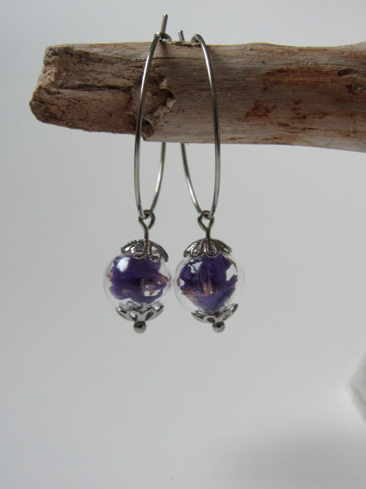 Creolen mit Glaskugel - Strandflieder